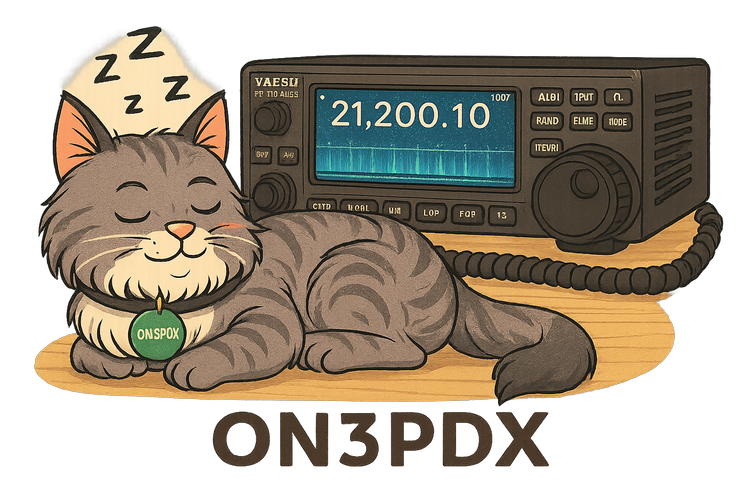 Bella, chat Maine.png